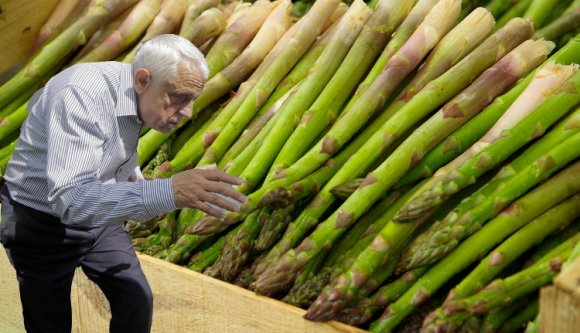 Petre Daea lement spárgába