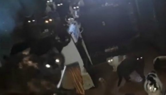 Horrorfilmbe illő állapotokat találtak a rendőrök egy bukaresti lakásban (VIDEÓval)