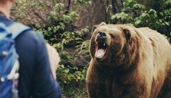 A hegyimentőknek kellett kimenteniük a medve elől menekülő turistákat