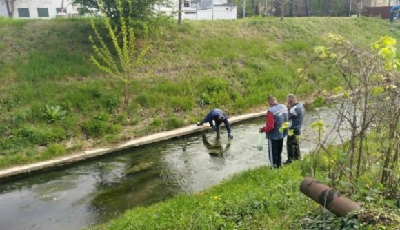 Épp ideje volt belátni, hogy mégsem magától döglik a hal Nagyváradon