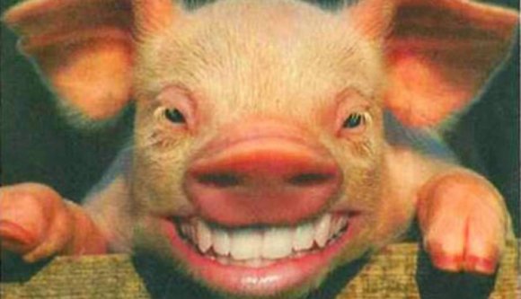 Ne költsön sokat a napokban, ha nem akarja folytatni a böjtöt!