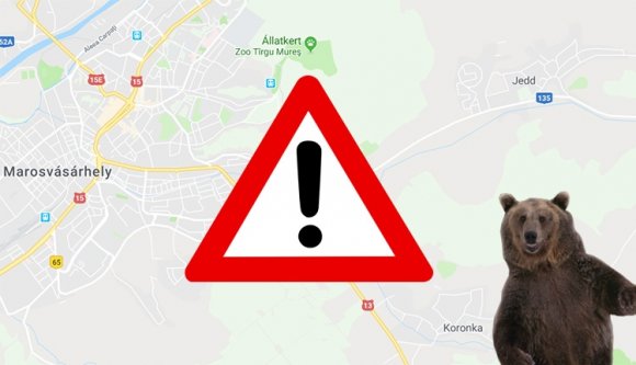 Miért ne menjünk sétálni az erdőbe Vásárhely tőszomszédságában?