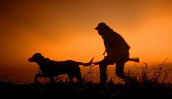 Megszakad a román honfiúi szív: Magyarország még egy területen lekörözte Romániát