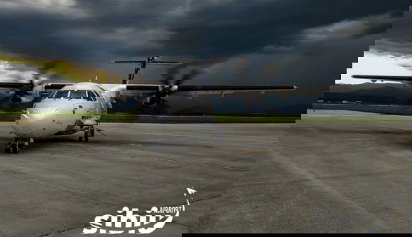 Madárral ütközött a brit delegáció gépe Szebenben