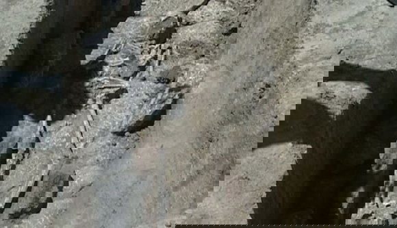 Kelta temetőt találtak az autópálya nyomvonalán