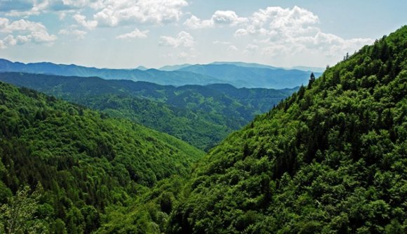 Az állam tulajdonában maradnak a Bánffy-erdők
