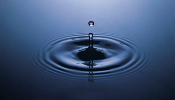 Víz, választó, bizottság