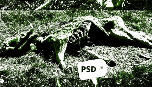 Szétrohad a PSD!