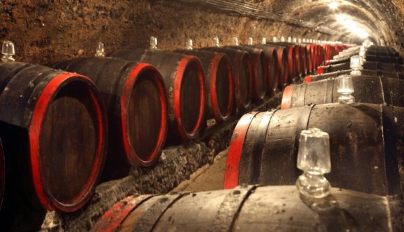 Pocsék volt az idei év a borászatok számára