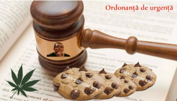 Ponta legalizálja a marihuánát