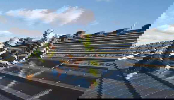 Idén még zöldebb Hargita megye