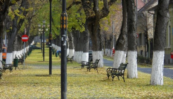 Egy blogger szerint Erdélyben van a legromantikusabb sétány
