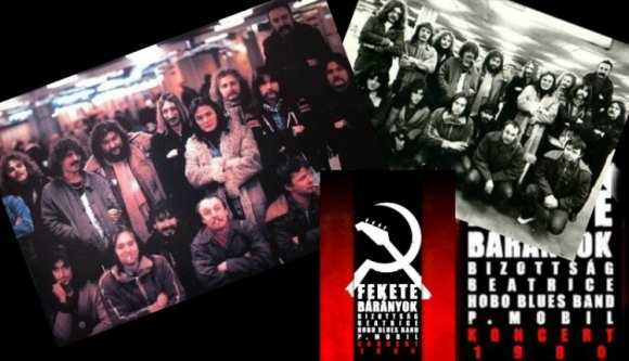 A rock'n'roll egy állat