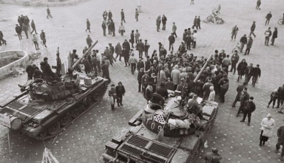 A Rózsa-művelet Temesváron