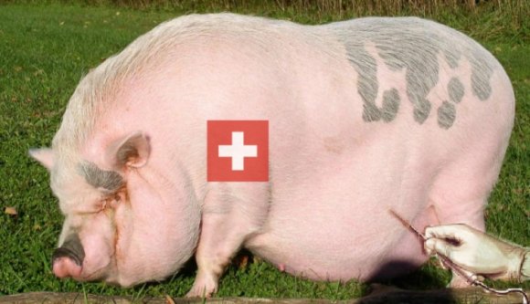 Így vágják a disznót a világ népei