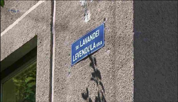 Tovább kétnyelvűsödnek a vásárhelyi utcák