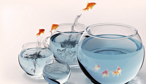 Tavaly a pártváltás volt a legnépszerűbb őszi trend az elöljárók körében