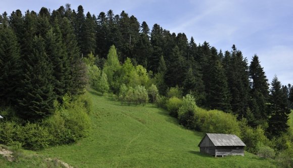 Nem mondott le Verespatakról az RMGC