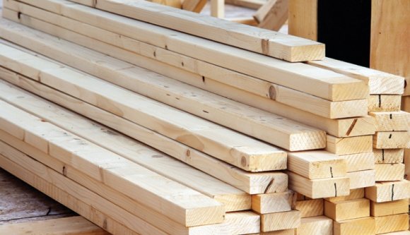 Hová megy a székely fenyő?