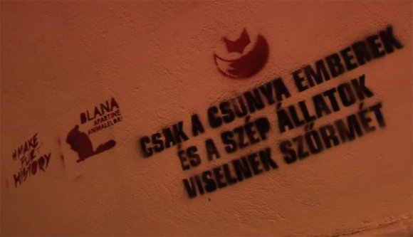 Magyarul graffitizett a MOST-ACUM Kolozsváron (VIDEÓ)
