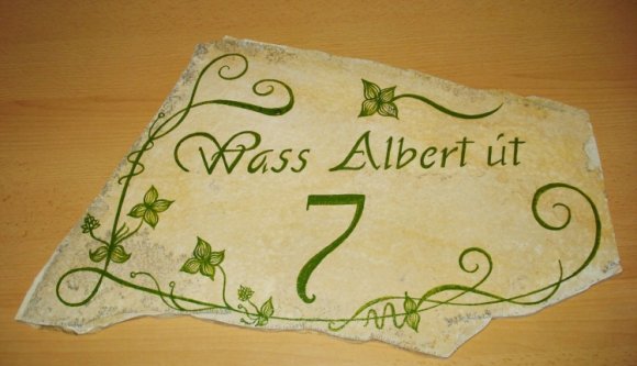 Wass Albert utcát akarnak Baróton