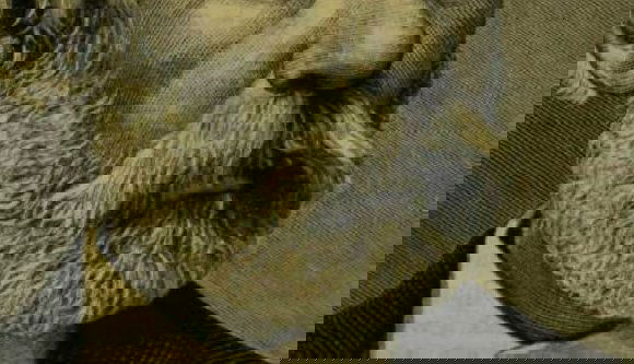 Kitalálja, ki a legnagyobb szókincsű magyar költő?