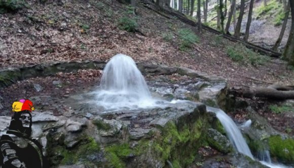 Csodaforrást tártak fel Zsögödön