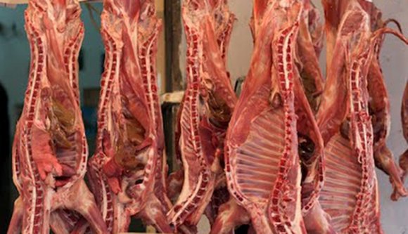 A legjobb hentesboltnév: Killer kft.