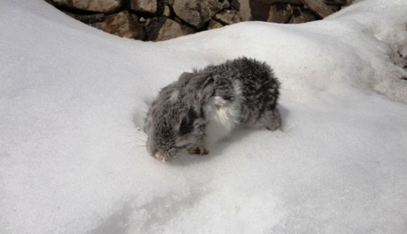 Sárga kódot kaptunk a piros tojáshoz