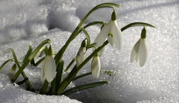 Hűvösebbre vált a tavasz