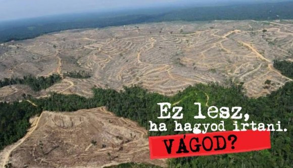 Utcára a fákért országszerte