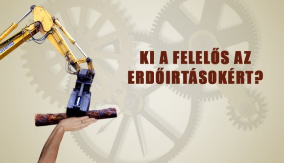 Ki a felelős az erdőirtásokért?
