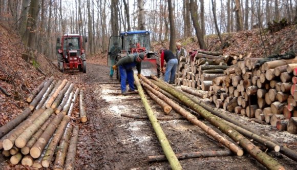 Áll a bál Ponta és Johannis között erdőügyben