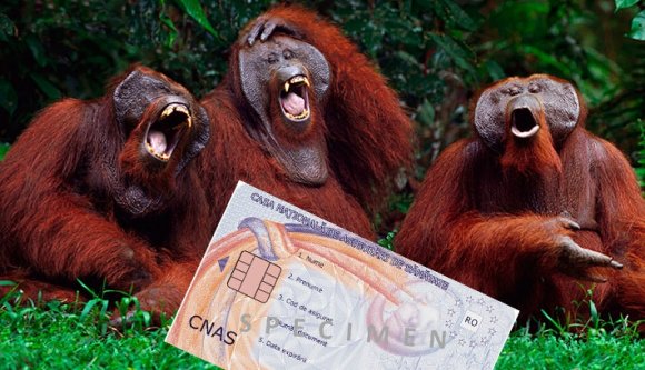 Egészségügyi kártya – ez most már kabaré