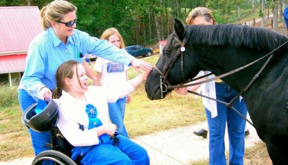 Magyar tapasztalatokból inspirálódik a romániai lovasterápia