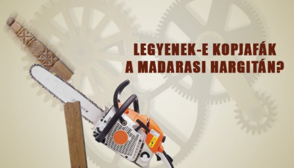 Legyenek-e kopjafák a Madarasi Hargitán?