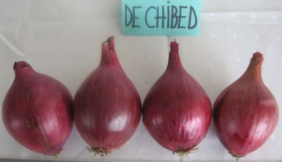 Mégsem tiltanák be a kibédi hagymaárusítást