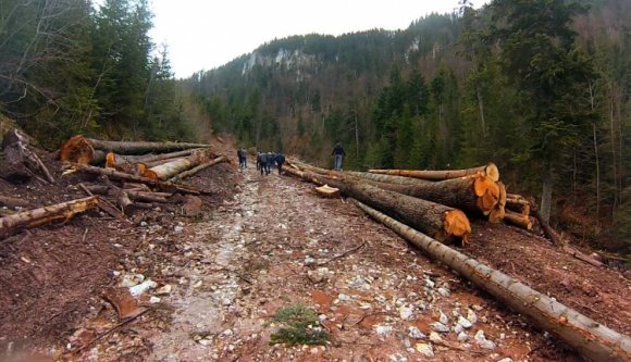 Civilek követelik a rétyi fűrészüzem kérelmének elutasítását