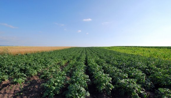 Visszahódított a bitorlóktól néhány hektár földet Kézdivásárhely