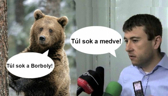 Ki megy? Borboly vagy a medvék?