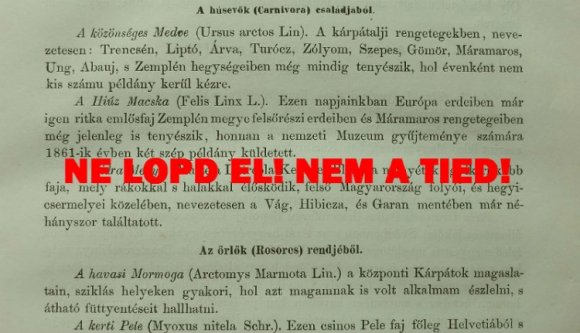 Meddig plagizálhatnak büntetlenül a politikusok?