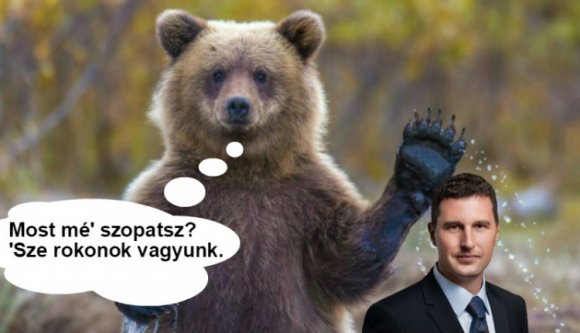 Tánczos Barna vs Barna Medve