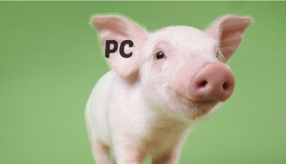 Agresszív píszík