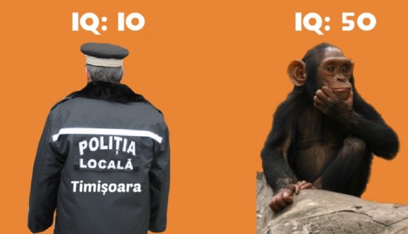 A temesvári helyi rendőrség tahósági rekordot döntött