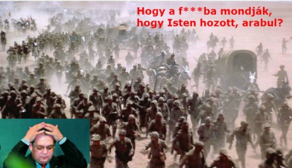 Migránsokat Kolozsvárra!