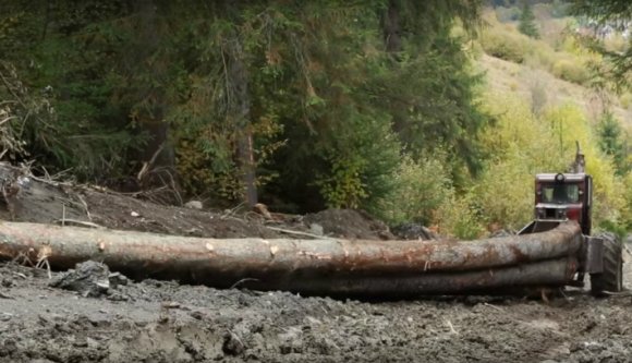 Külföldön is beszédtéma a Schweighofer romániai ténykedése