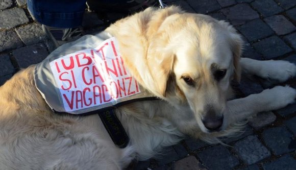 Ilyen per még nem volt Nagyváradon!