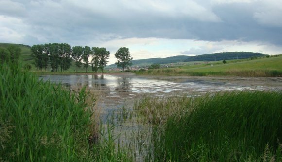 Így kell elverni 135 ezer eurót