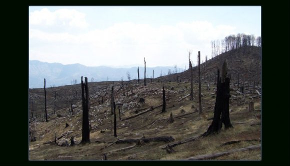 Már Albánia is betiltja!