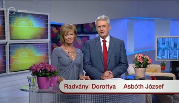 Isten veled, Kívánságkosár!